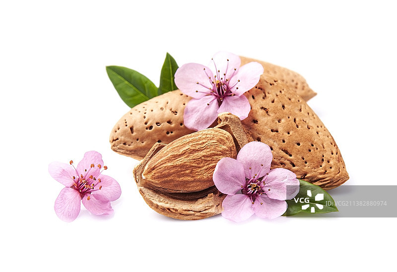 白色背景上的花朵特写图片素材