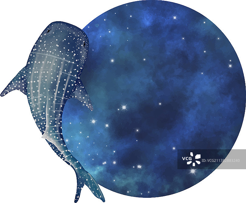 夜空鲸鲨圆形banner图片素材