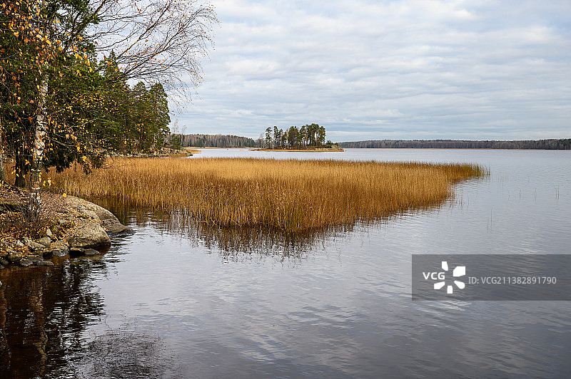 秋季维堡附近Monrepos公园海湾岸边的岩石景观图片素材