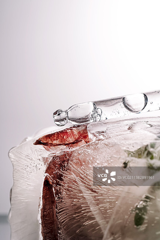 冰冻鲜花大冰块上的移液管图片素材