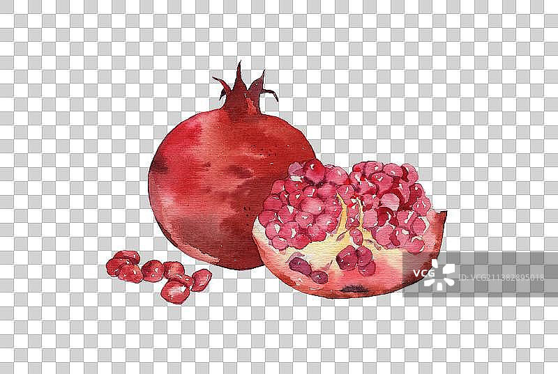 水彩手绘石榴插画石榴果实水彩图片素材