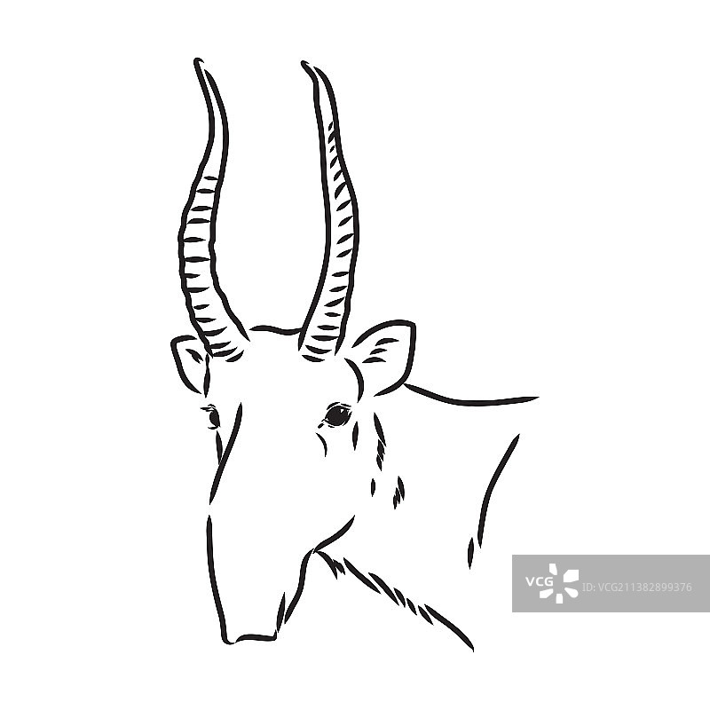 白色背景上的赛加羚羊轮廓图片素材