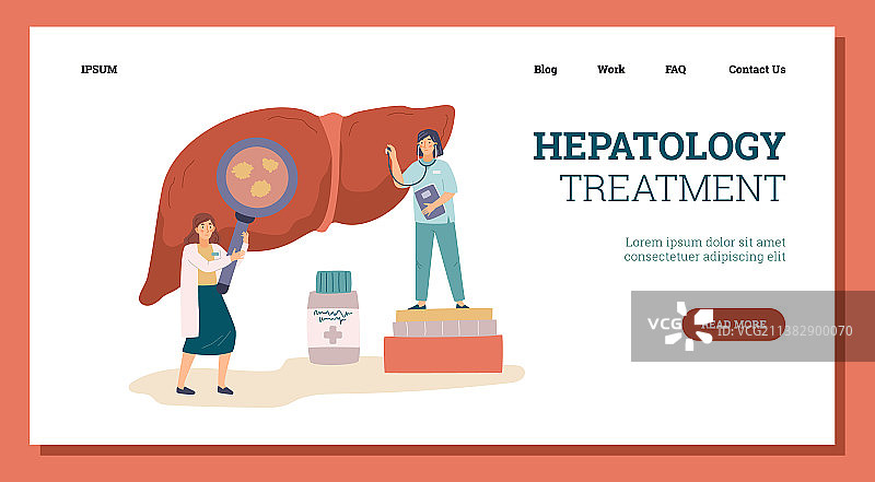 女医生和护士检查肝脏图片素材