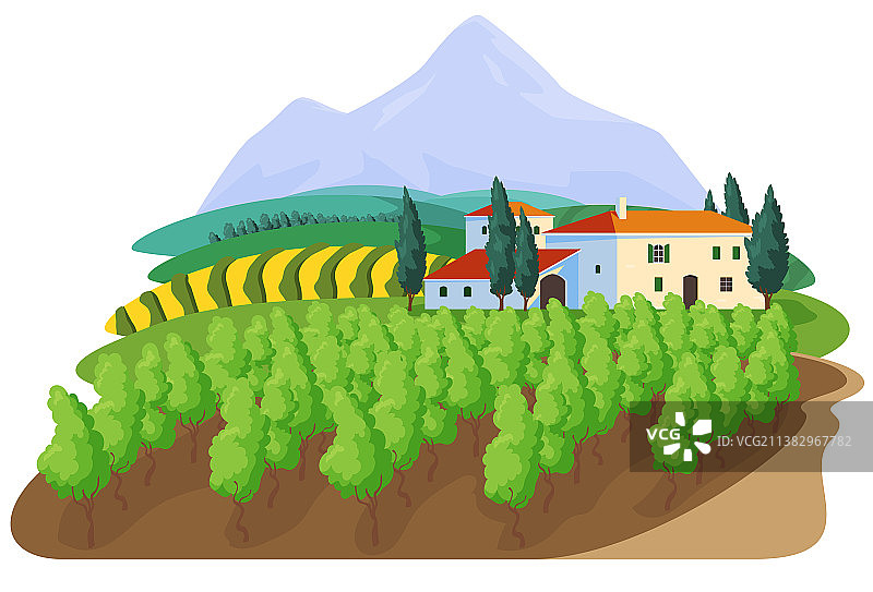 葡萄园农场标志标签概念图片素材