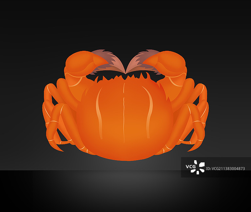 中国传统肥美大闸蟹美食插画，中秋节美食动物图鉴图片素材