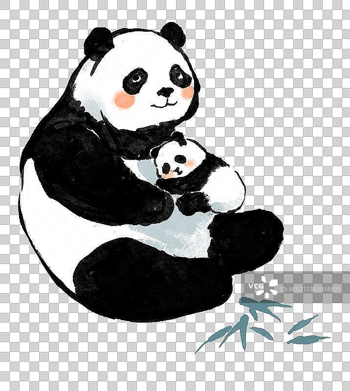 父亲节母亲节插画元素小熊猫和小熊猫图片素材
