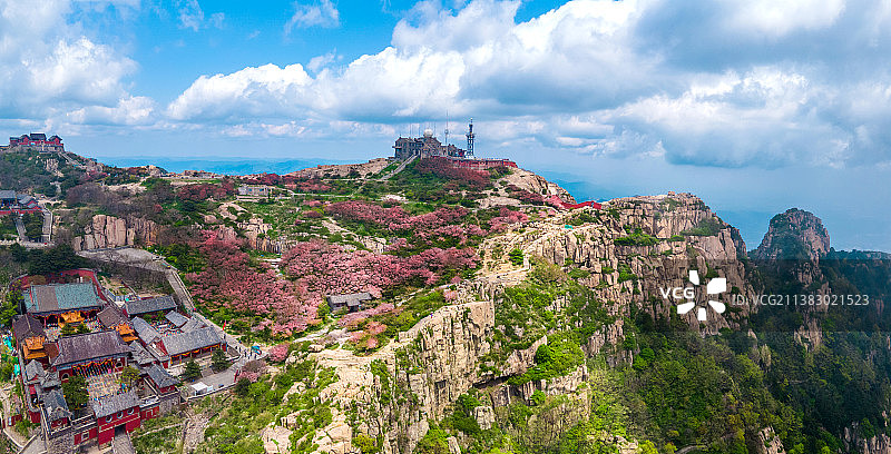 航拍泰山海棠花开图片素材