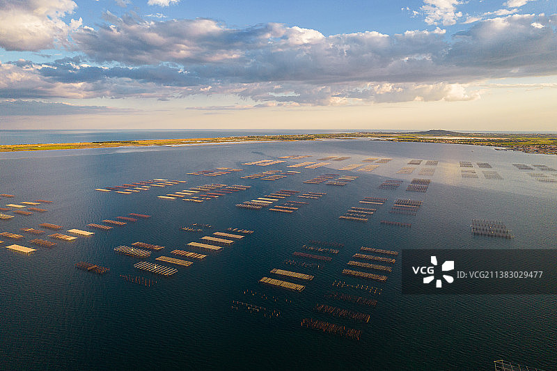 地中海生蚝养殖农场航拍图片素材