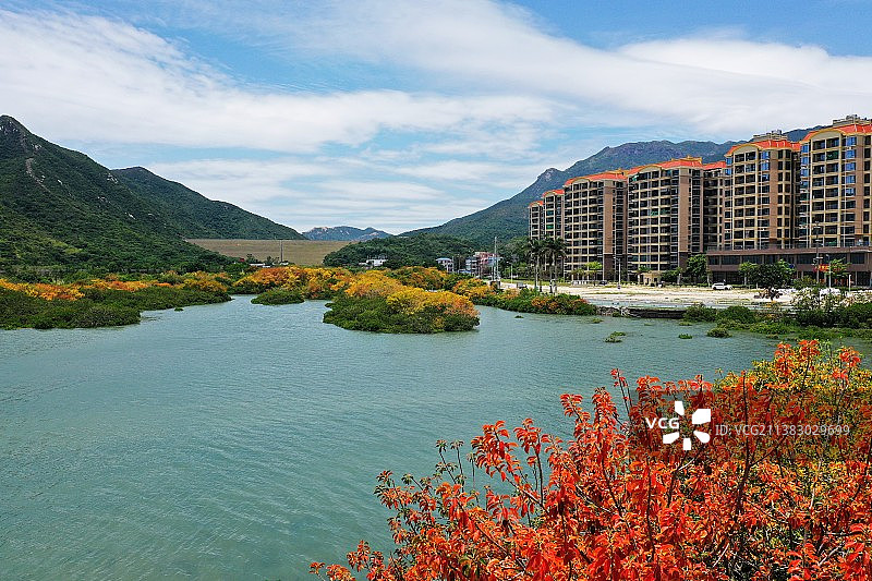 深圳东涌红树林色彩缤纷景如深秋图片素材