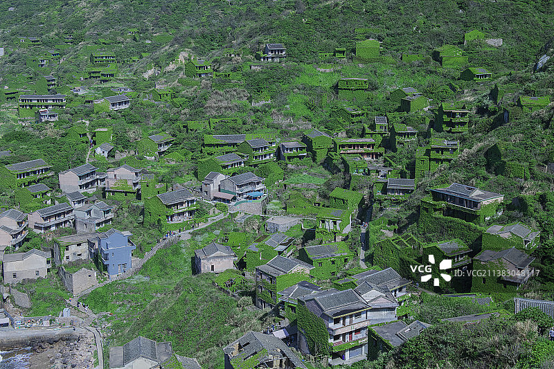 浙江舟山嵊泗县枸杞岛无人村——绿野仙踪，绿色植物覆盖的村落。人与自然合一的产物图片素材