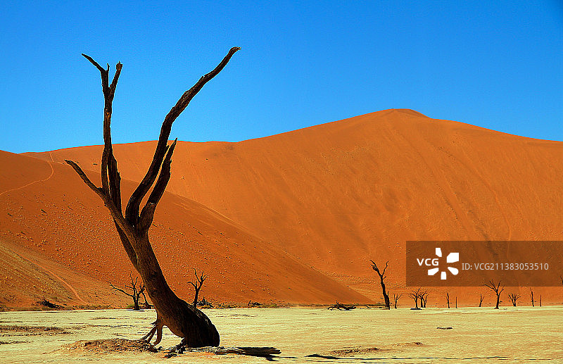 纳米比亚纳米布沙漠 死亡谷图片素材