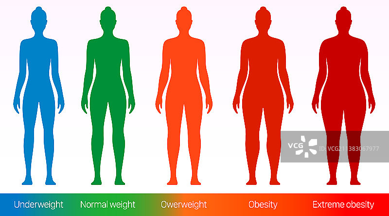 女性身体质量指数扁平化设计图片素材