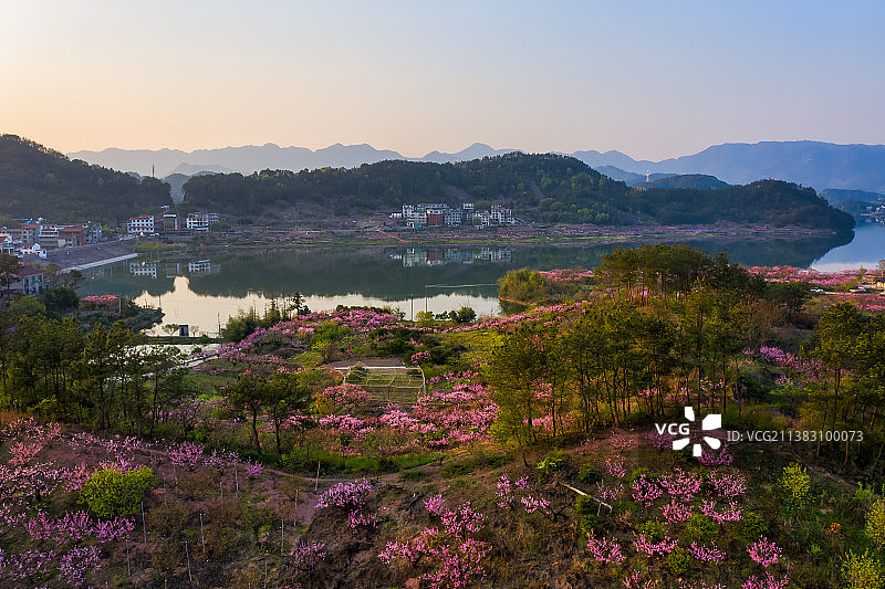 义乌上溪镇桃花盛开季春色风光航拍图片素材