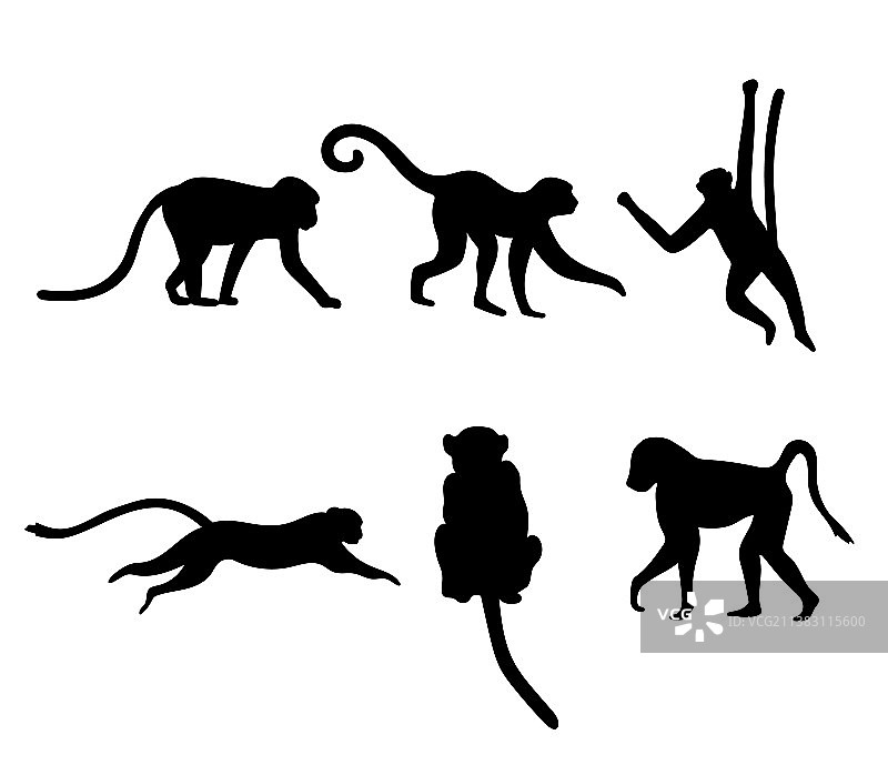 各种猴子剪影图片素材