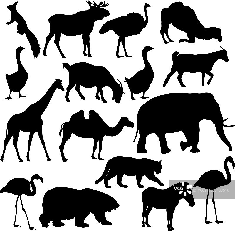 麋鹿熊鹅斑马火烈鸟大象剪影图片素材