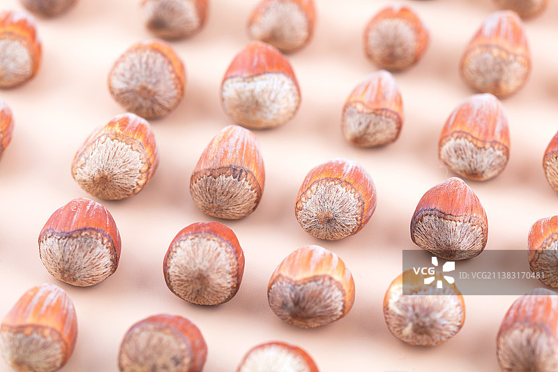 整齐排开的榛子干果图片素材