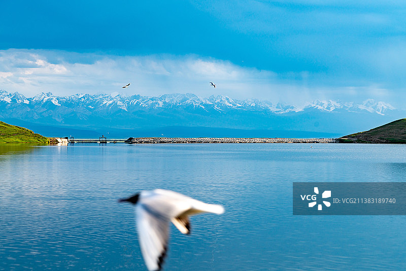 中国新疆巴音郭楞和静县巴音布鲁克草原天鹅湖图片素材