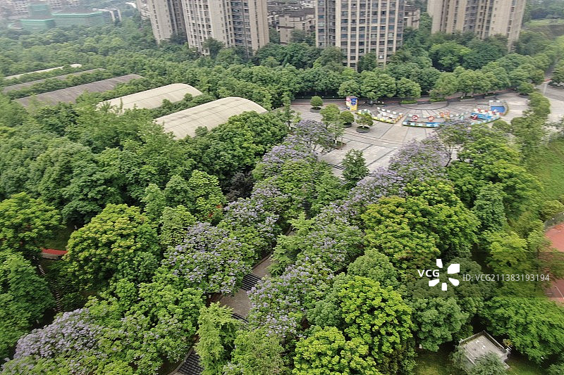 重庆江北石子山体育公园图片素材