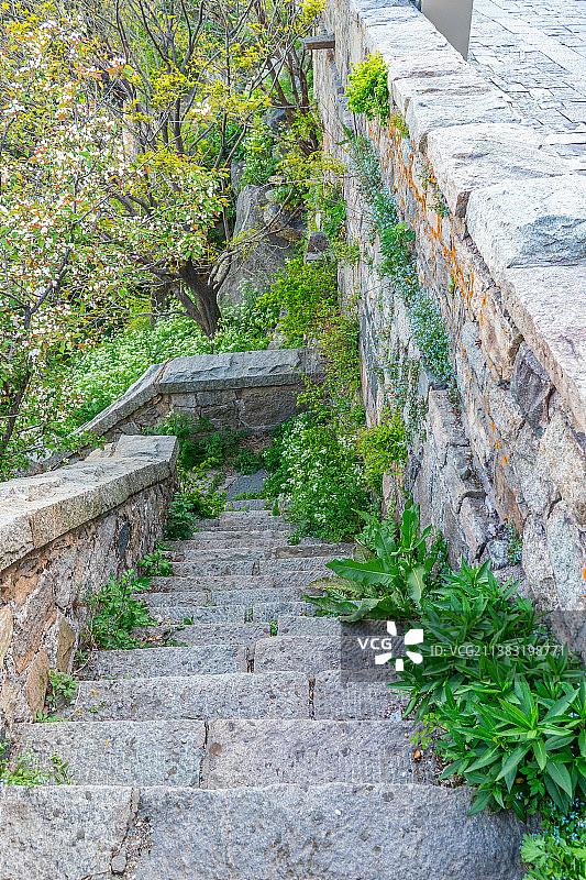 中国非都市风光拍摄主题，山东省泰安市国内著名景点泰山风景区，陡峭的台阶楼梯，户外白昼无人图像摄影图片素材
