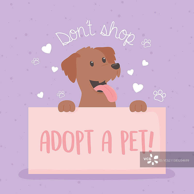 不要购买，领养宠物图片素材