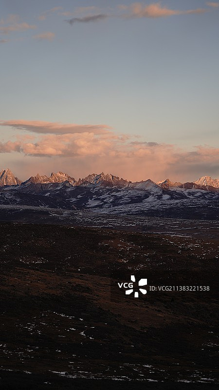 鱼子西图片素材
