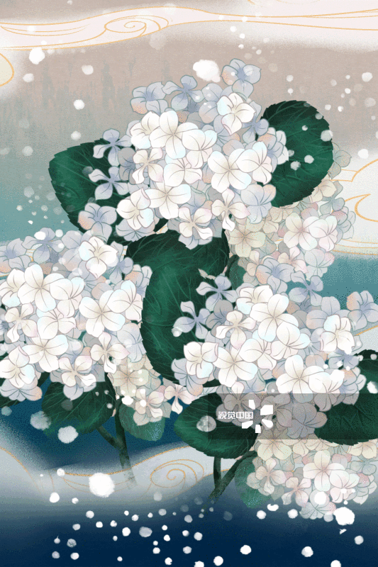 中国风水彩绣球花插画背景-GIF动图图片素材