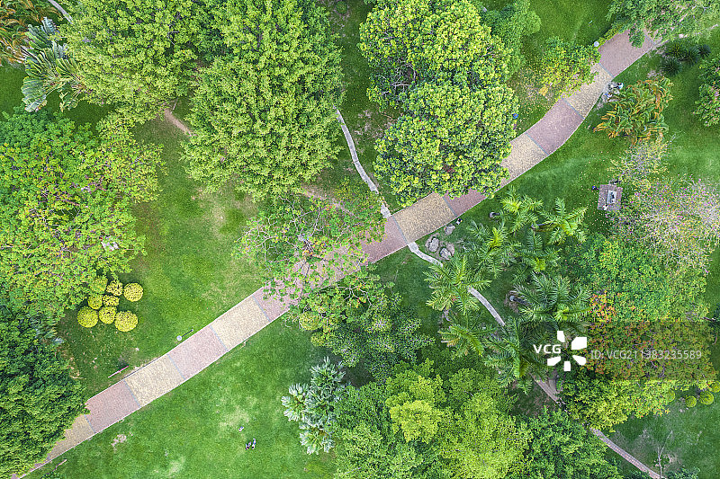 深圳莲花山公园 深圳福田区莲花山公园图片素材