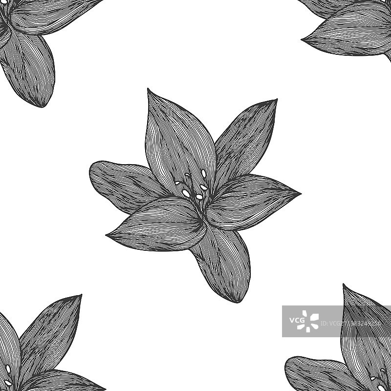 黑白线性花卉背景图片素材