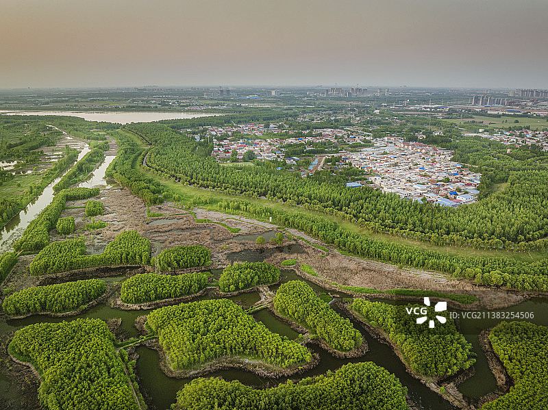 湿地中的乡村生态图图片素材