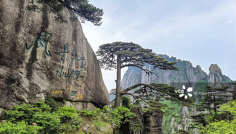 五岳 黄山迎客松图片素材