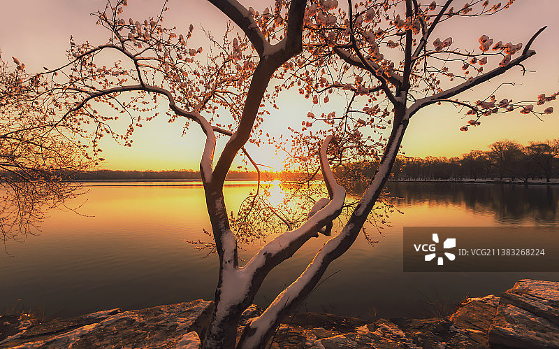 春天，美丽的西堤桃花。让人流连忘返。图片素材