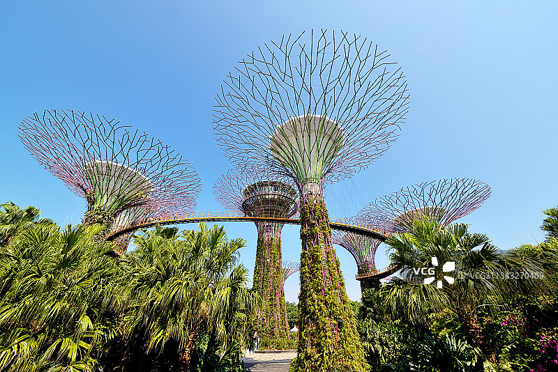 滨海湾花园图片素材