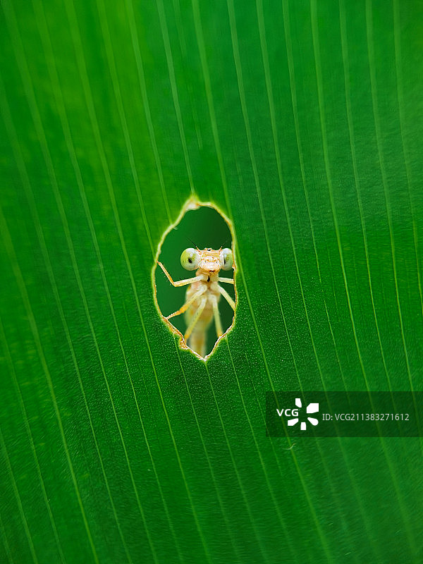 外面的世界图片素材