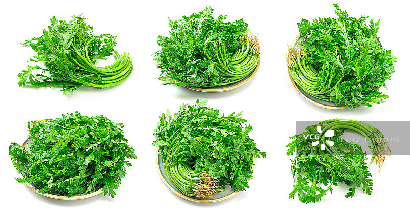 白色背景上的蔬菜茼蒿组合图图片素材