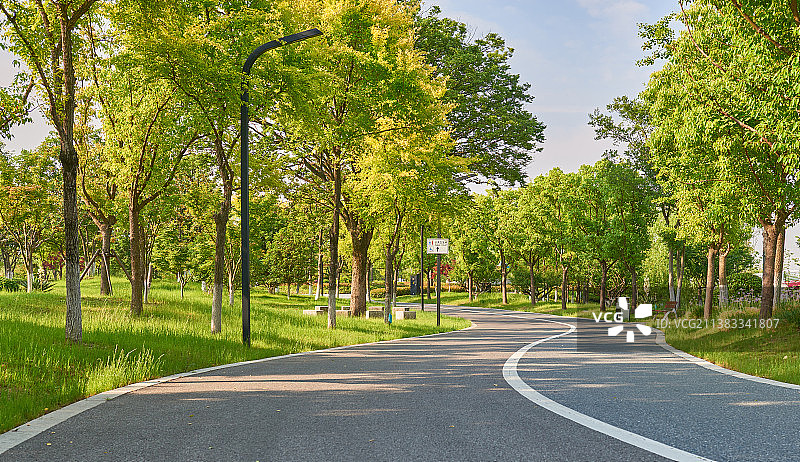 公园里无人的小路图片素材