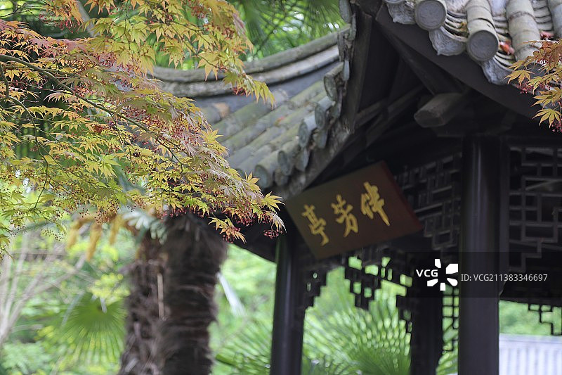 带你探寻醉翁亭记中的琅琊山图片素材