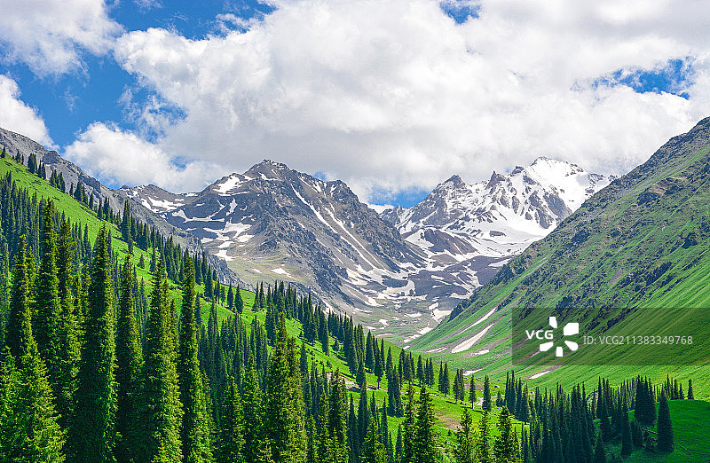 那拉提草原雪莲谷图片素材