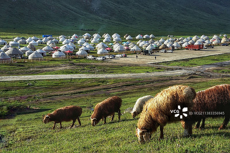 别样的风情图片素材