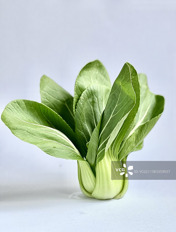 蔬菜拍图片素材