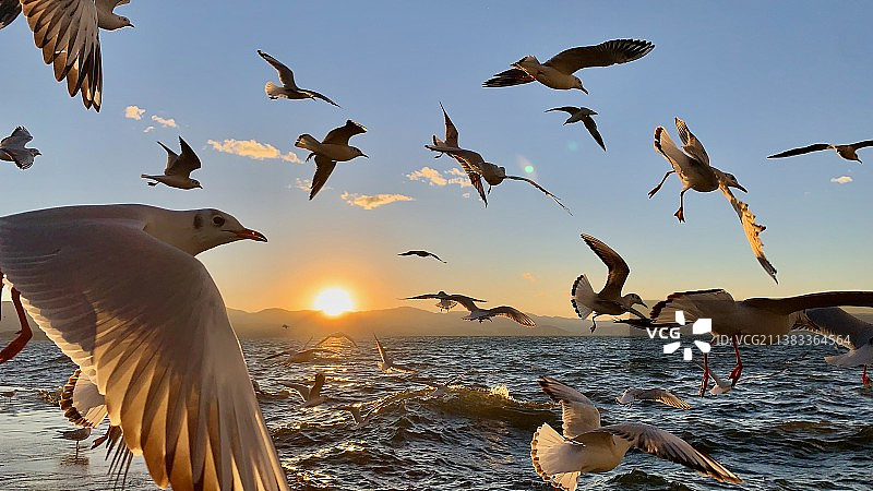 洱海日出图片素材