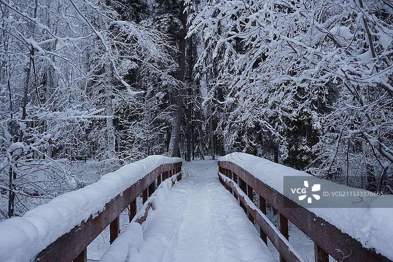 阿拉斯加冰雪景观图片素材