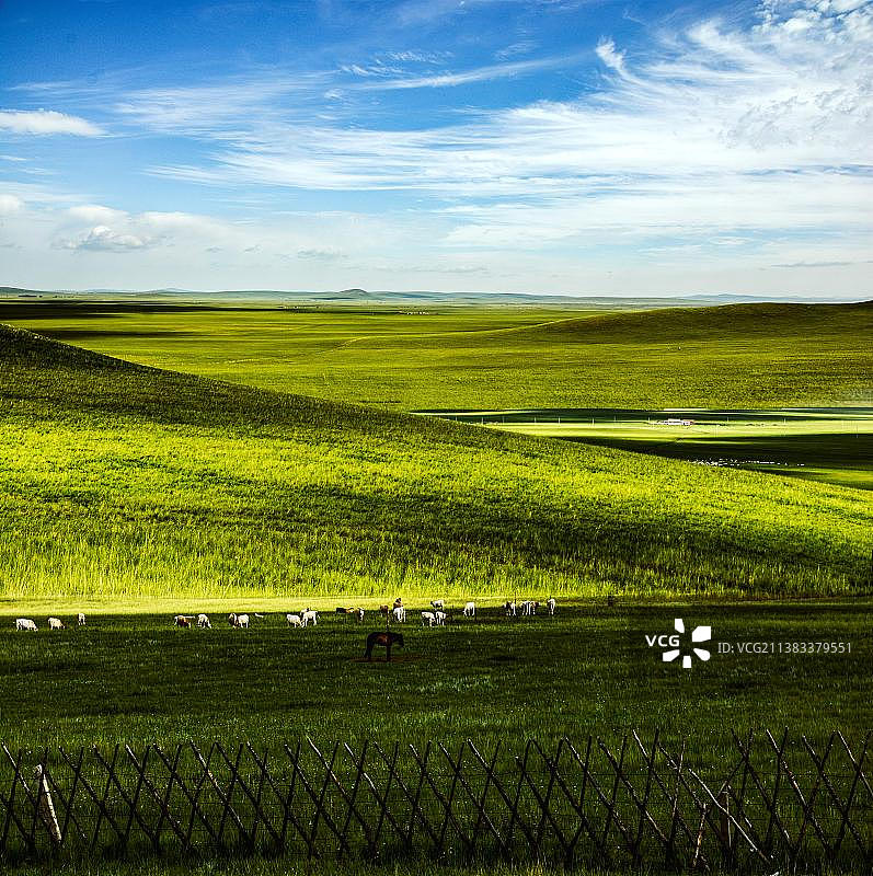 美丽的草原我的家图片素材