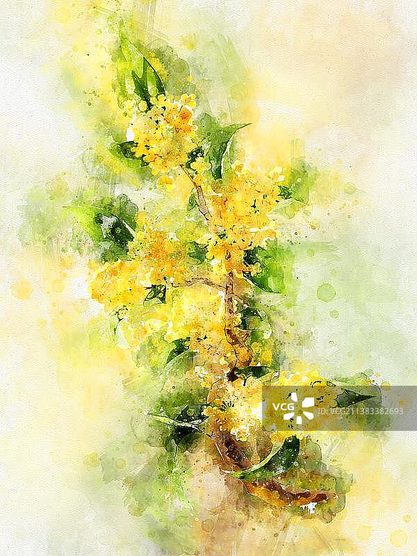 水彩桂花图片素材