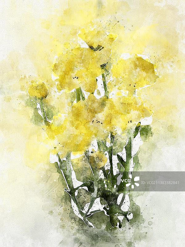 水墨菊花图片素材