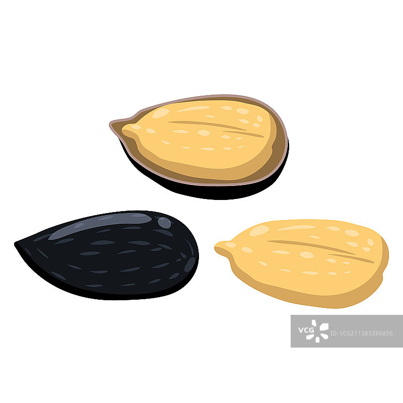 完整的和去皮的天然健康葵花籽图片素材