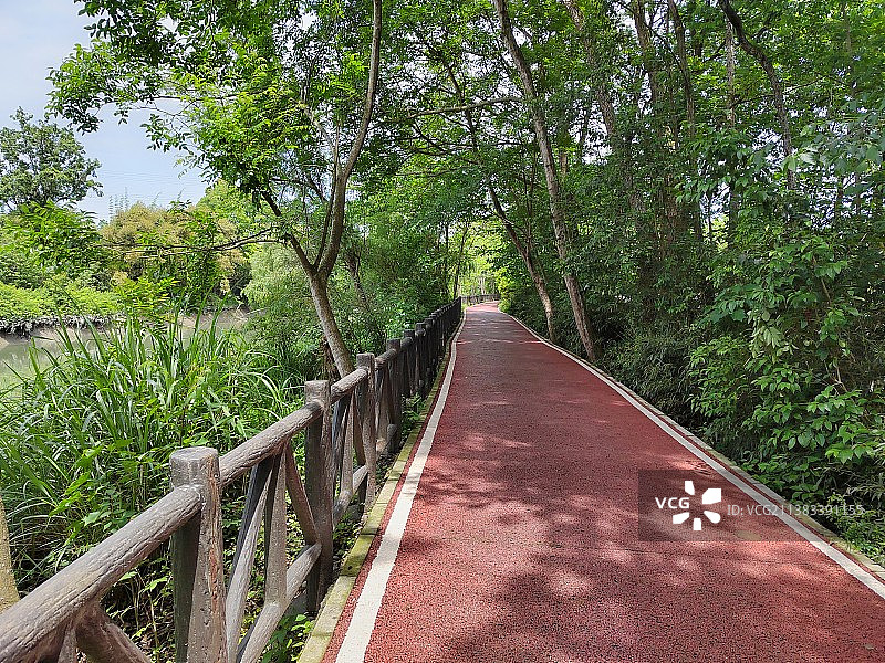 绿道彩色水泥路图片素材