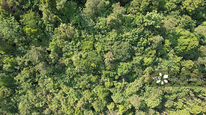 航拍视角下的图片素材