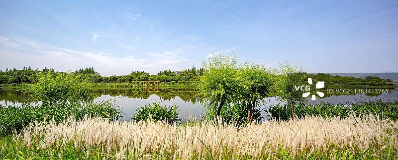 永宁江畔的绿色生态图片素材