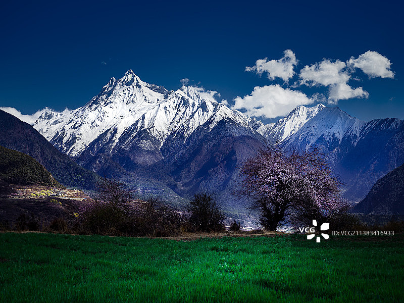 多雄拉脚下的桃花～～～图片素材