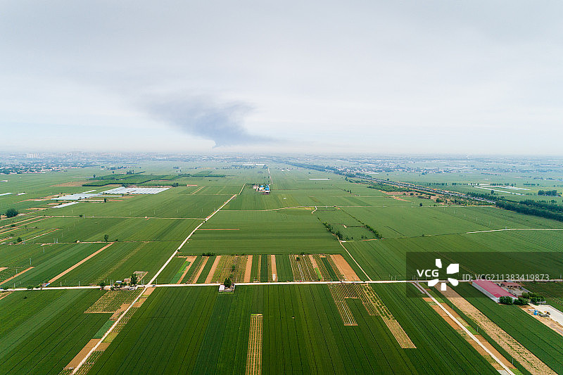 航拍麦田和村庄图片素材